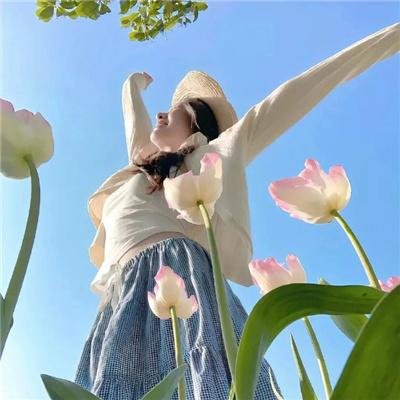 大明星世界末日 封面